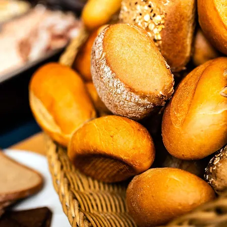 Hotel Zeitgeist By Steiger Rathen