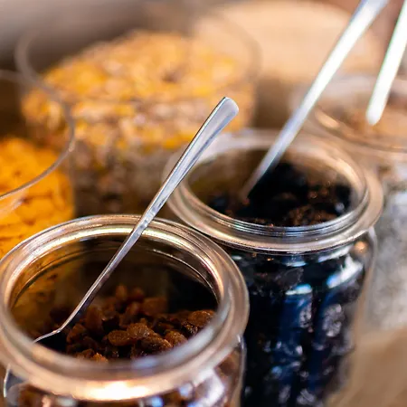 酒店 Zeitgeist By Steiger